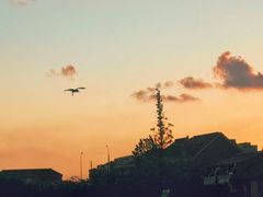 -上海智力产业园