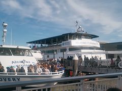 -阿尔卡特拉斯岛