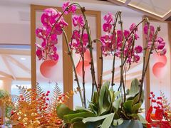 -楚山晓·楚湘菜(江夏永旺店)