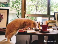 -咖法森林·咖啡  酒吧(天河店)