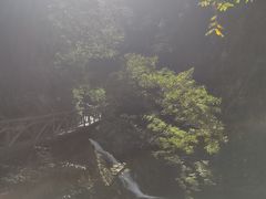 -九龙潭景区