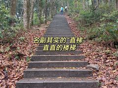 -梧桐山风景名胜区