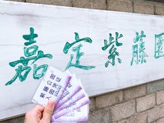 -嘉定紫藤园