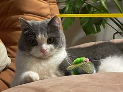 -牛知府云南菌汤鲜牛肉火锅(肖家湾店)