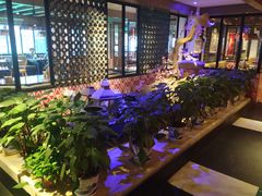 -江边城外烤全鱼(方庄时代购物中心店)