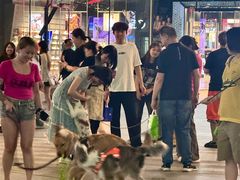 -大悦城(沈阳中街店)