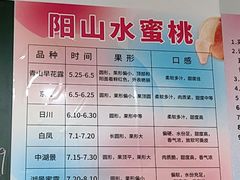 -老袁家蜜桃农场·阳山水蜜桃