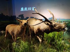 -武汉园博园(武汉自然博物馆)