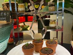 -亮马河饭店翠雅咖啡厅