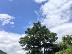 -十里琅珰