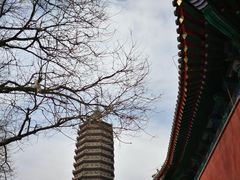 -西海子公园