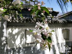 -海棠花溪(元大都城垣遗址公园)