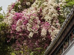 -深圳国际园林花卉博览园