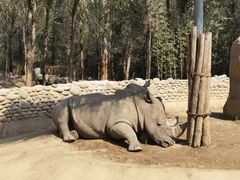 -北京野生动物园