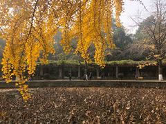 -四川大学(华西校区)