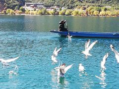 -泸沽湖里格半岛