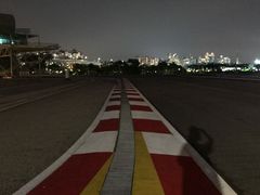 -新加坡摩天观景轮