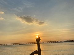 -宝安西湾红树林湿地公园