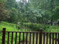 -黄海国家森林公园