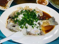 特色香葱淋鲈鱼-粤·向群饭店(泮塘路店)