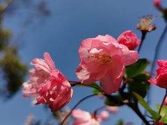 -黄兴公园