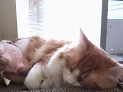 -北京城乡世纪广场-莫尔空间