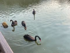 -无锡动物园·太湖欢乐园
