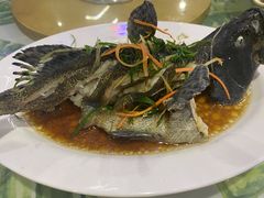 -四姑娘川味海鲜(八爪鱼店)