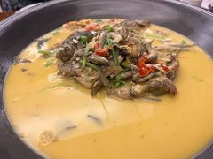 -饭怕鱼·黄焖鲟龙鱼(湖大店)