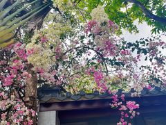 -深圳国际园林花卉博览园