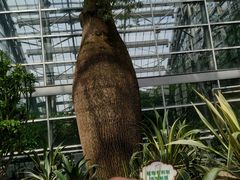 -南山植物园