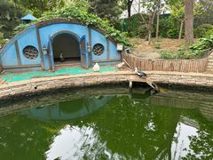 -南宫五洲植物乐园