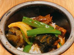 红焖中华鳖-许家菜(望江店)