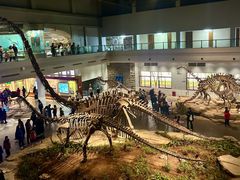 -自贡恐龙博物馆