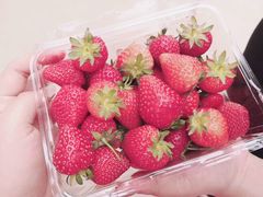-甜心庄园·甜心草莓采摘园(西青中北店)