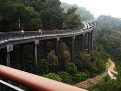 -金鸡山公园