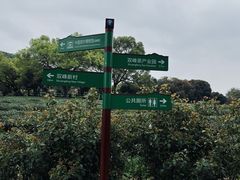 -中国茶叶博物馆(双峰馆区)