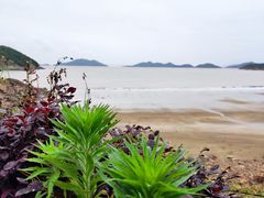 -东海半边山旅游度假区