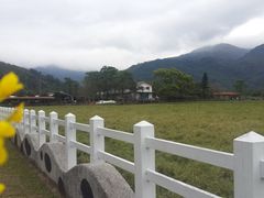 -瑞穗牧场