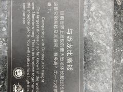 -自贡恐龙博物馆