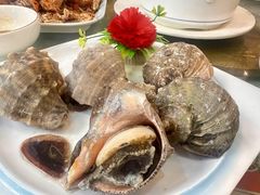-台山美食一绝阿四台山黄鳝饭(阿四创作店)