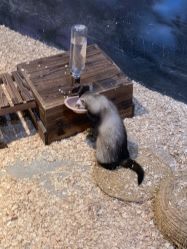 -酷嗒动物文化乐园(cutezoo西溪乐天城店)