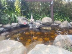 -颐和澜悦欢乐水世界(原颐和温泉城)