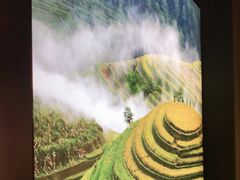 -湘邻呷铺·田园家宴(汉基广场店)