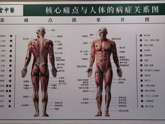 -通透堂中医·精准推拿(万科云城分院)