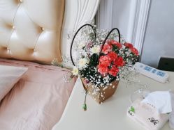 -莲芯花月子会所