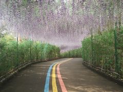 -东莞观音山旅游风景区