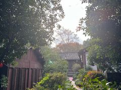 -杭州半山国家森林公园