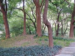 -徐家汇源景区-衡山公园