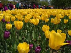 -长春公园(普阳街道)